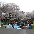 20130330-143.jpg