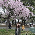 20130330-173.jpg