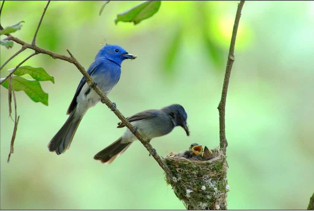 nEO_IMG_shkps_03.jpg nEO_IMG_shkps_03.jpg