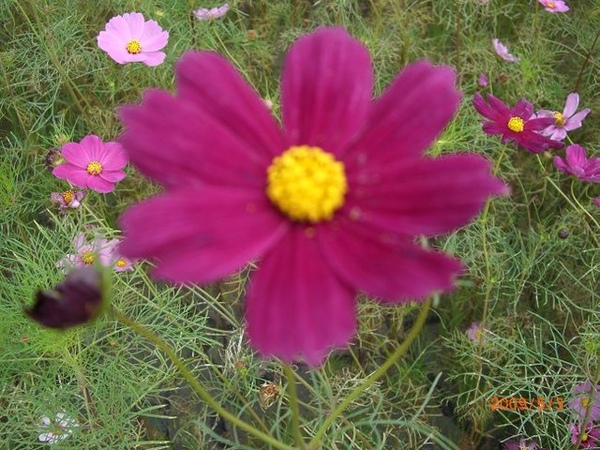 CIMG5230(001)