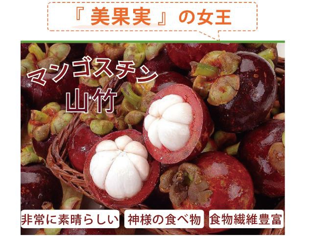 d.JPG 試用
