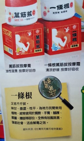 10.JPG 試用