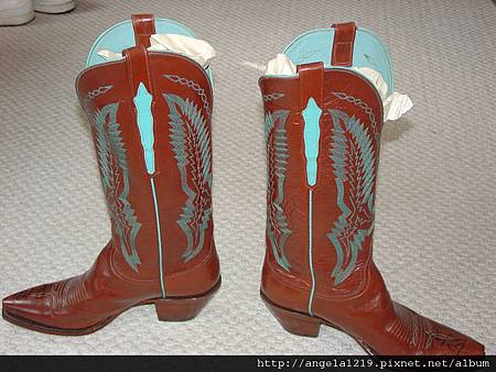 taylor_cowgirl_boot2.jpg