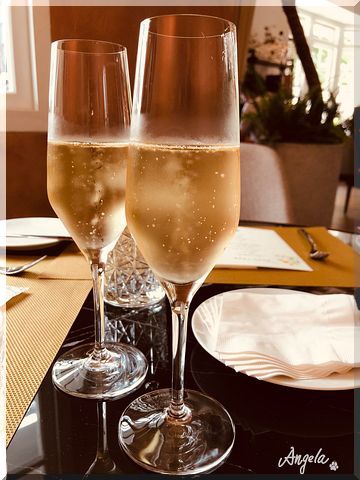 IMG_1819.jpeg IMG_1819.jpeg