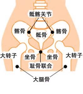 脊骨神經醫學 椎間盤突出 針灸 中醫骨傷科 醫師 僵直性脊椎炎 坐骨神經痛 Angela102的部落格 痞客邦