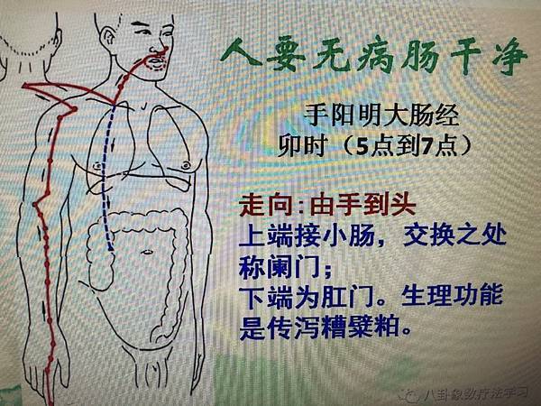張廣苓健康象數療法(2-1)八卦篇   张广苓老師