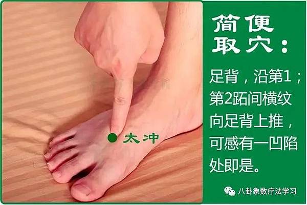 張廣苓健康象數療法(2-1)八卦篇   张广苓老師
