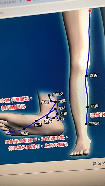 腎經1.jpg