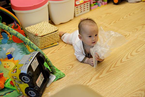 DSC_6175 DSC_6175
