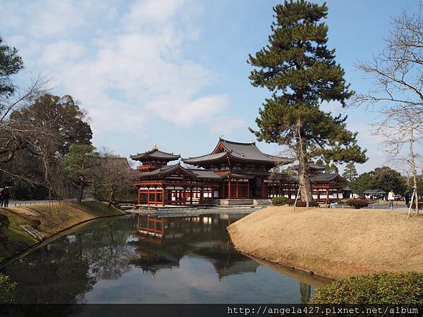 20180129宇治、琵琶湖_180223_0101.jpg