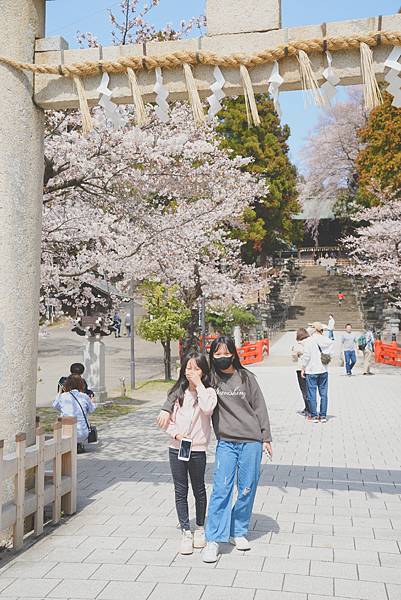 2024 清明節仙台東照宮西公園