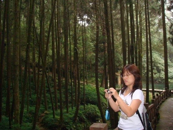 2008-08-30阿里山之旅 098.JPG