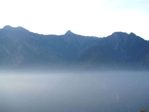 2008-08-30阿里山之旅 334.JPG