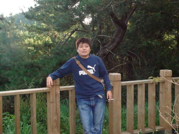 2008-08-30阿里山之旅 347.JPG