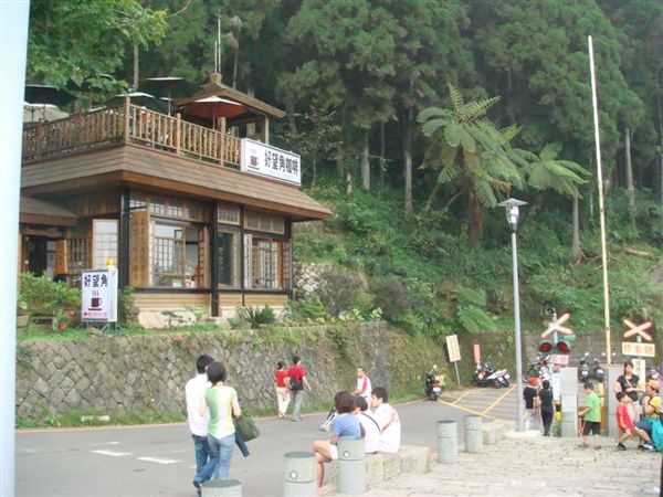2008-08-30阿里山之旅 432.JPG