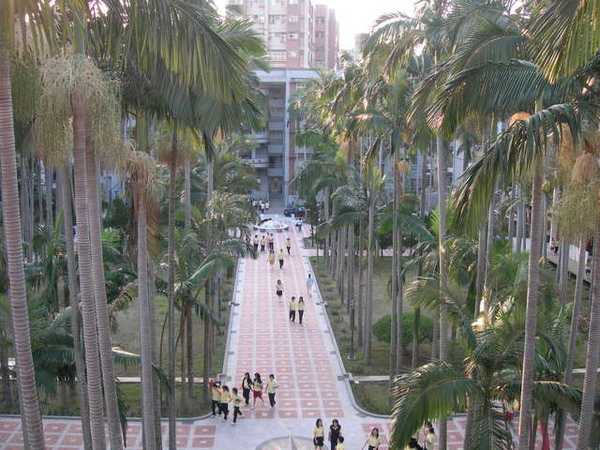 登科大道