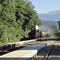 Steam Train tour