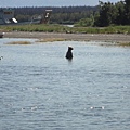 Katmai NP