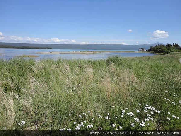 Katmai NP