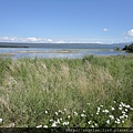 Katmai NP