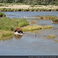 Katmai NP