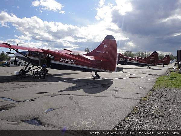 Talkeetna Air Taxi