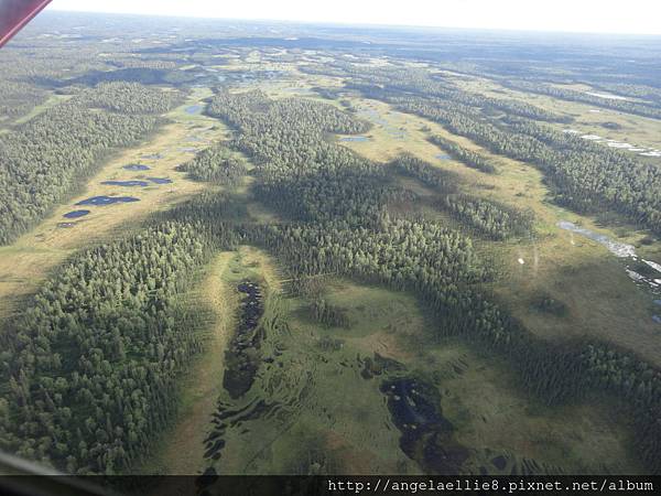 McKinley Summit Flight