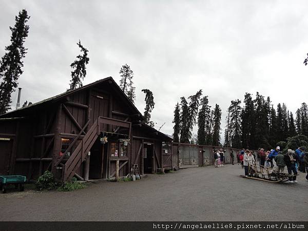 Dog Sled Kennels