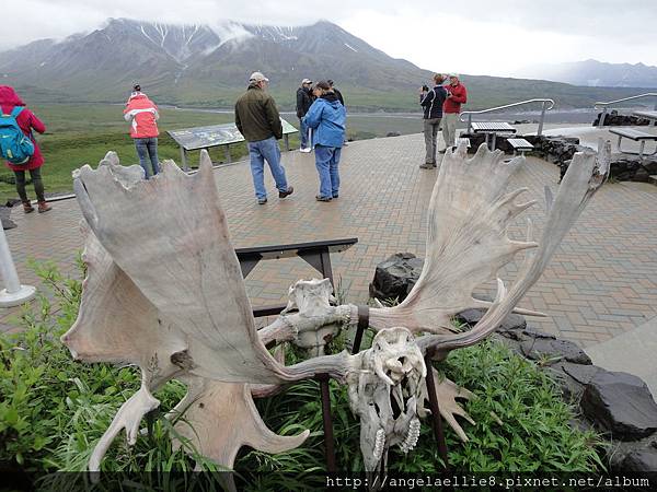 Eielson Shuttle