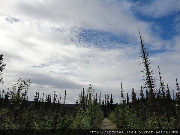 Yukon River