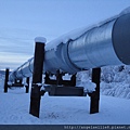 Alaska Pipeline