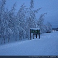 Alaska Pipeline