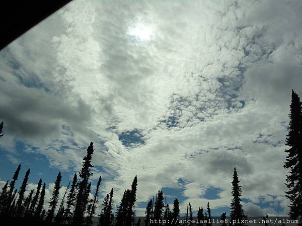 on the way to Fairbanks