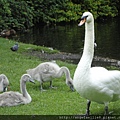 08804in St. Stephen's Green.JPG