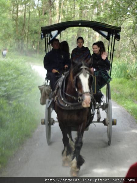 Killarney National Park