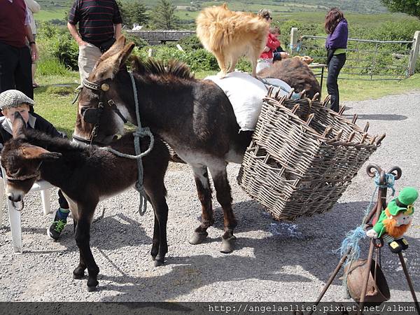 on the way of Ring of Kerry