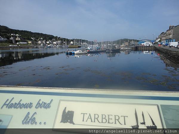 Tarbert