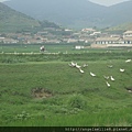 丹東平壤火車沿途景