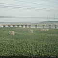 丹東平壤火車沿途景