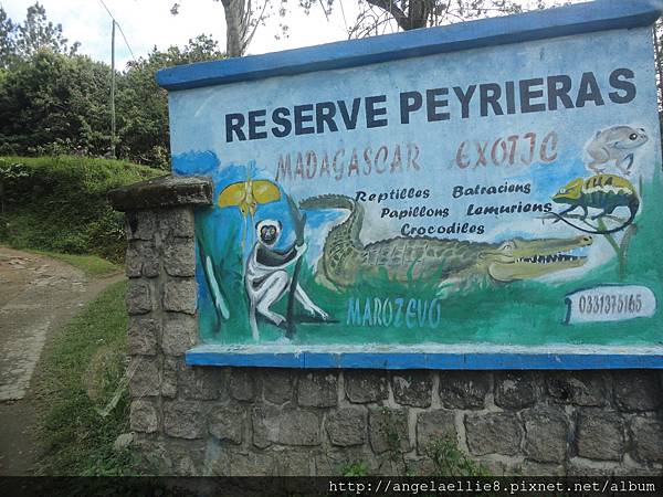 the Peyreiras reserve