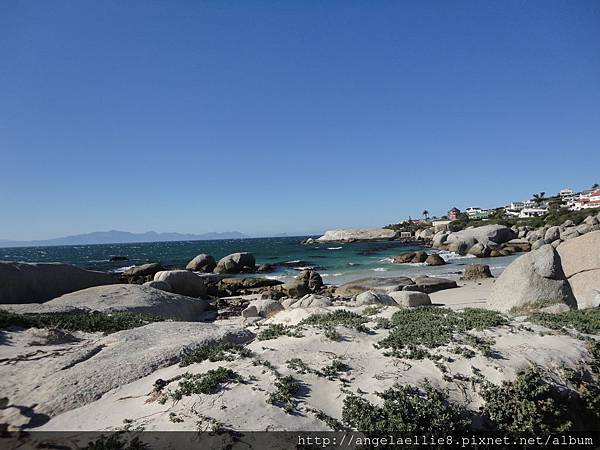 Baz Bus 1 day Tour Boulders Beach