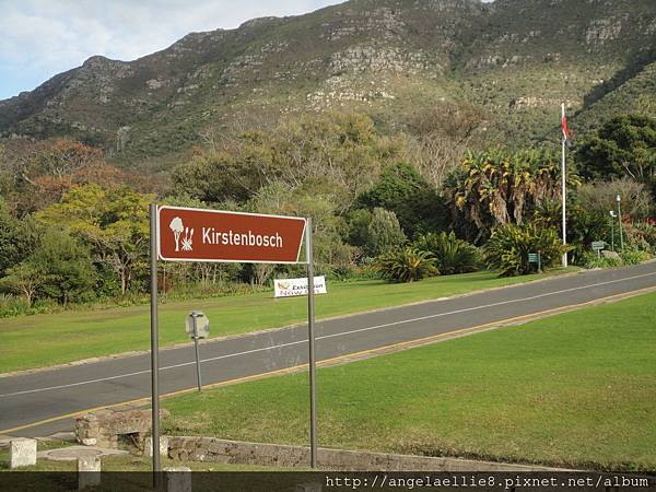 Blue Line Stop 20 Kirstenbosch Garden