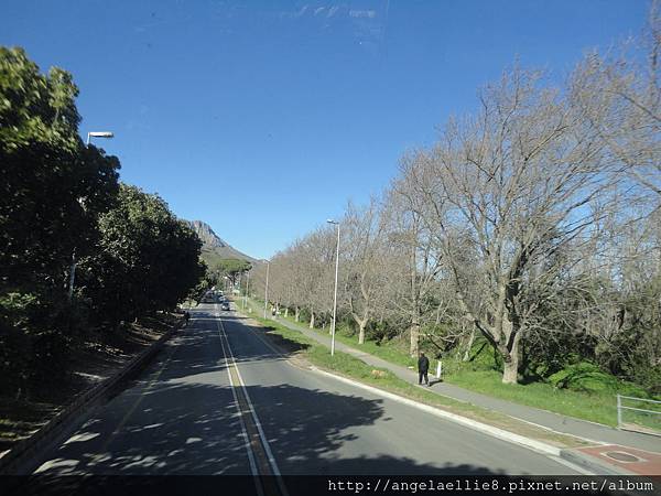 Blue Line on the way to Hout Bay