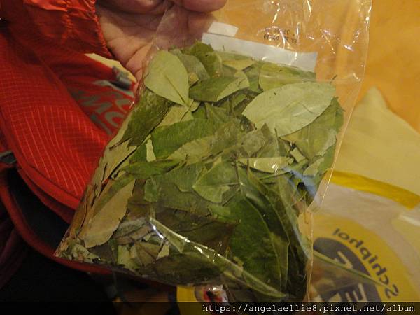 coca leaf