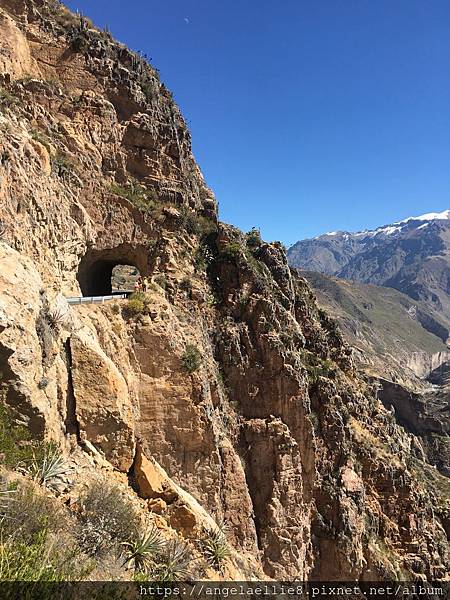 Colca Canyon Tour