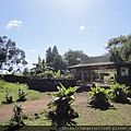 Rano Raraku