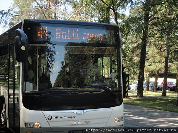 Tallinn Bus