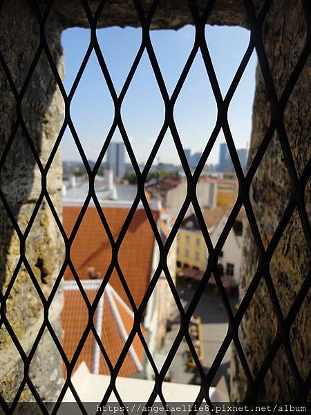 Tallinn Town Hall Tower