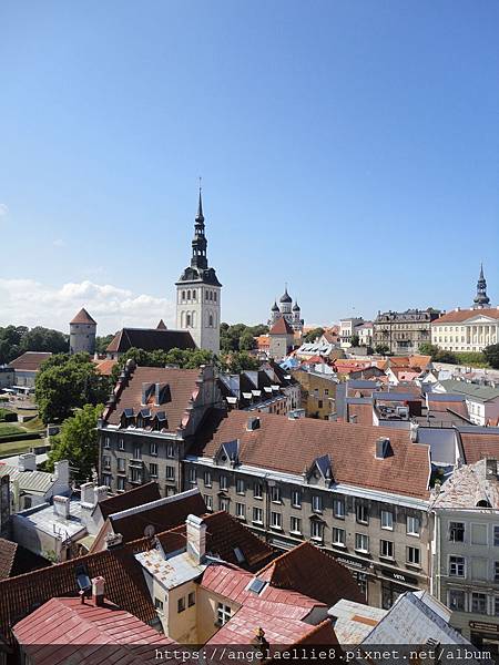 Tallinn Town Hall Tower