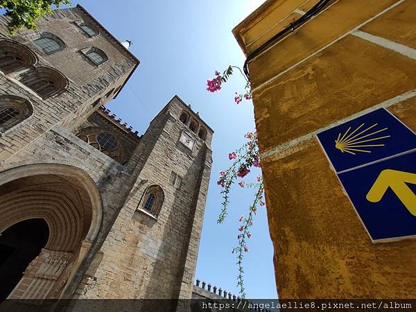 大教堂the Cathedral